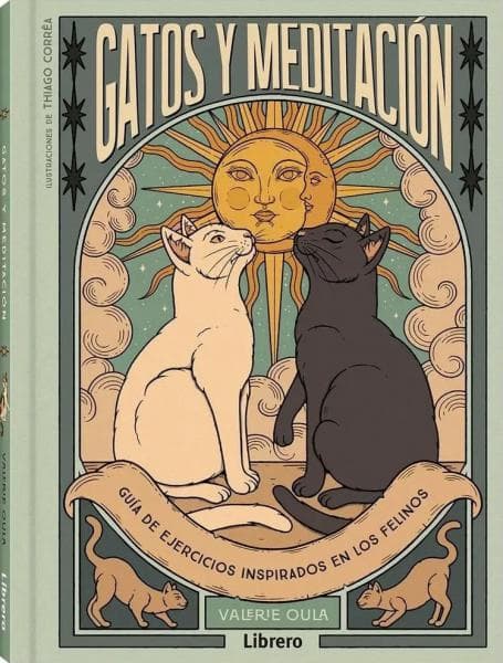 GATOS Y MEDITACION