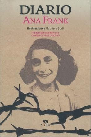 DIARIO DE ANA FRANK (ARTE Y LETRAS)
