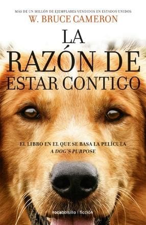 RAZON DE ESTAR CONTIGO, LA