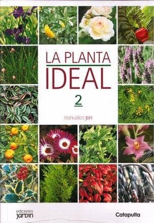 PLANTA IDEAL 2, LA