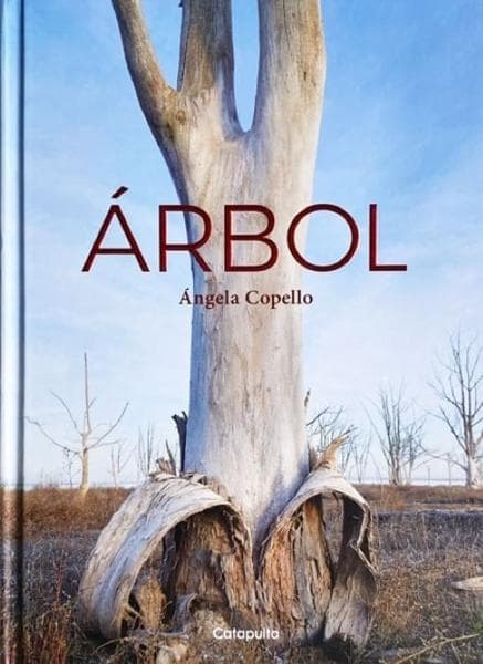ARBOL