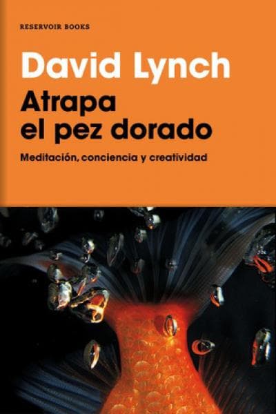 ATRAPA EL PEZ DORADO