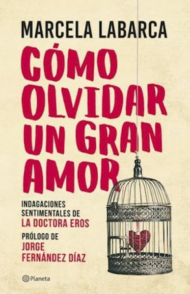 COMO OLVIDAR UN GRAN AMOR