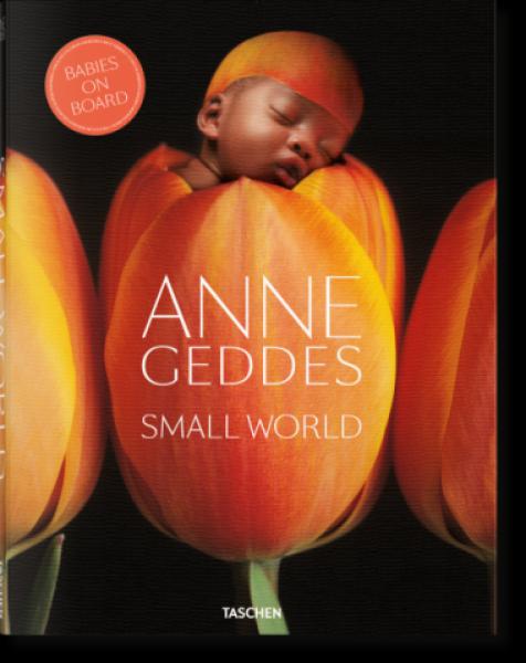 ANNE GEDDES - SMALL WORLD