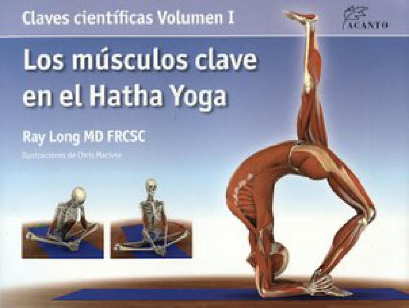 MUSCULOS CLAVE EN EL HATHA YOGA VOL. I