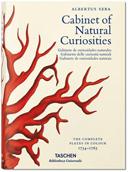 CABINET OF NATURAL CURIOSITIES