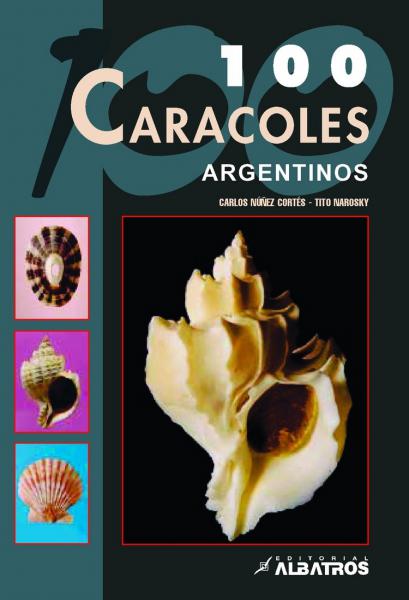 100 CARACOLES ARGENTINOS