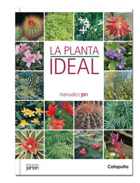 LA PLANTA IDEAL