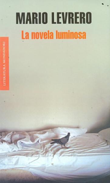 LA NOVELA LUMINOSA