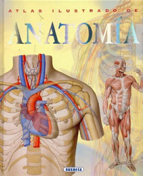 ATLAS ILUSTRADO DE ANATOMIA