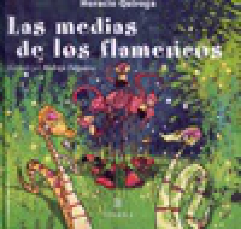 LAS MEDIAS DE LOS FLAMENCOS