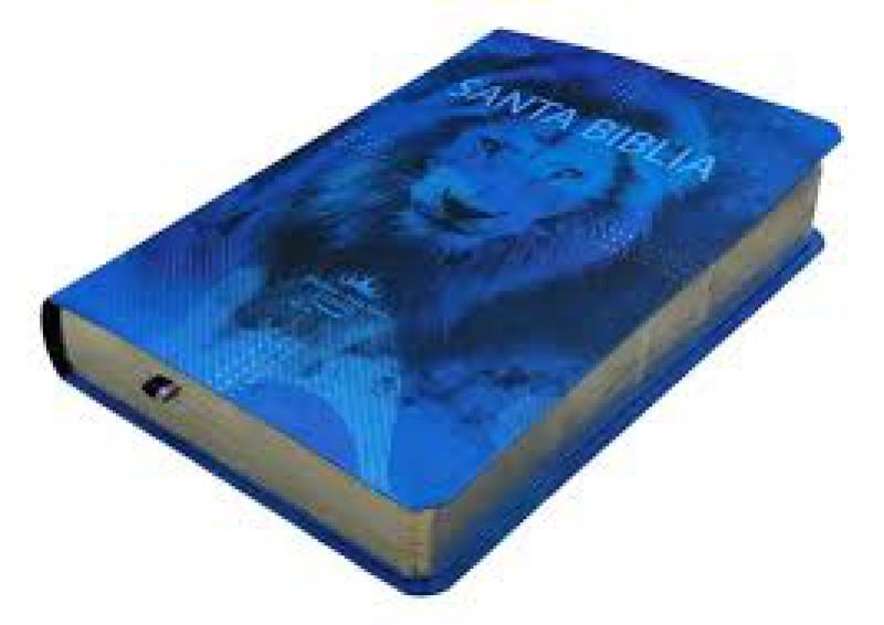 BIBLIA REINA VALERA 1960 LEON CELESTE