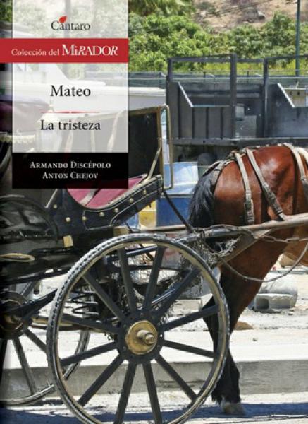 MATEO - LA TRISTEZA (135)