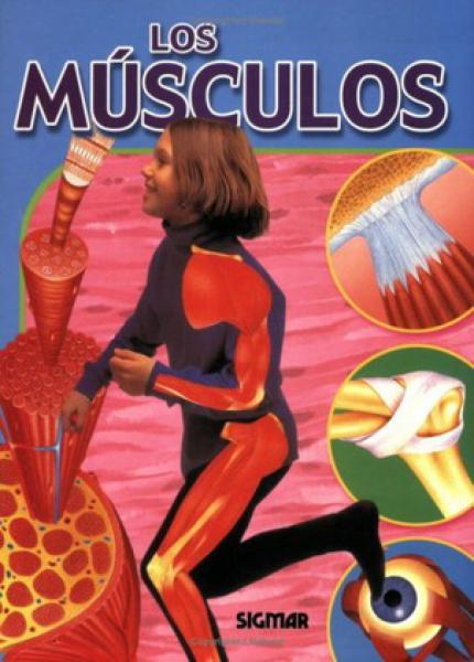 LOS MUSCULOS