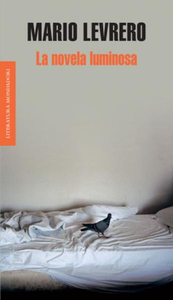 LA NOVELA LUMINOSA