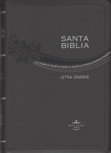 SANTA BIBLIA REINA-VALERA 1960 GRIS