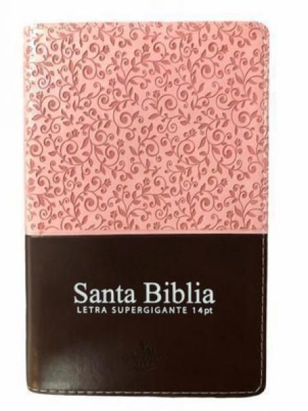 BIBLIA REINA VALERA 1960 - C/CIERRE