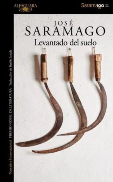 LEVANTADO DEL SUELO