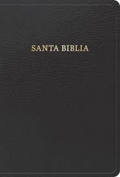BIBLIA REINA VALERA 1960 NEGRA