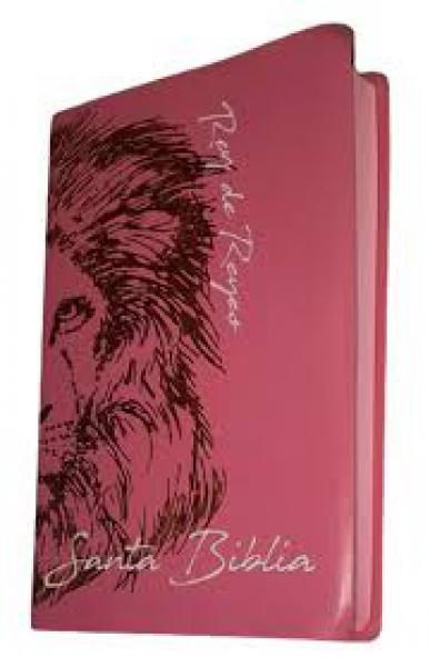 SANTA BIBLIA - REY DE REYES ROSA VINIL