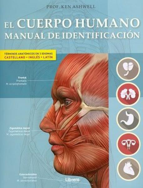 EL CUERPO HUMANO