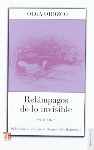 RELAMPAGOS DE LO INVISIBLE