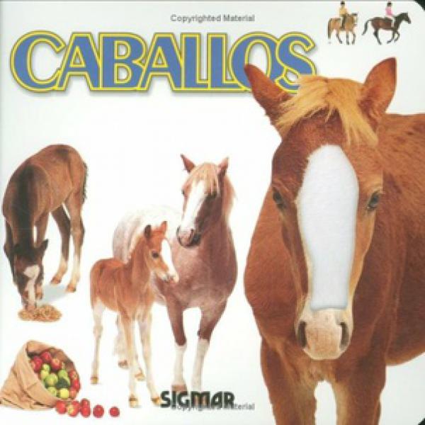CABALLOS