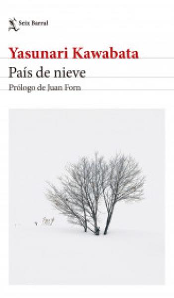 PAIS DE NIEVE ( N.E. )