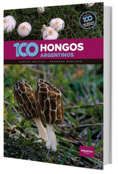 100 HONGOS