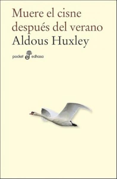 MUERE EL CISNE DESPUES DEL VRANO