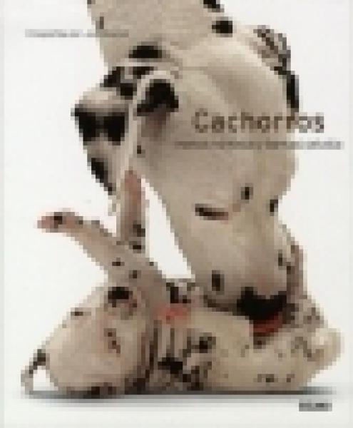 CACHORROS