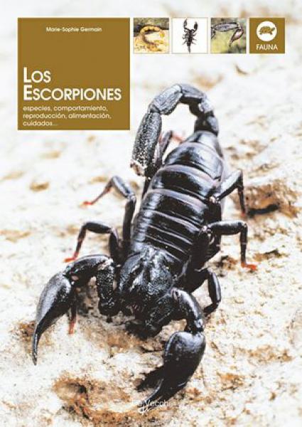 EL ESCORPION