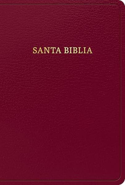 BIBLIA REINA VALERA 1960 BORGONA