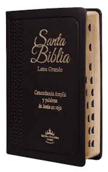 BIBLIA REINA VALERA 1960 LETRA GRANDE