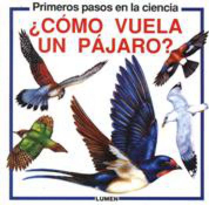 COMO VUELA UN PAJARO ?