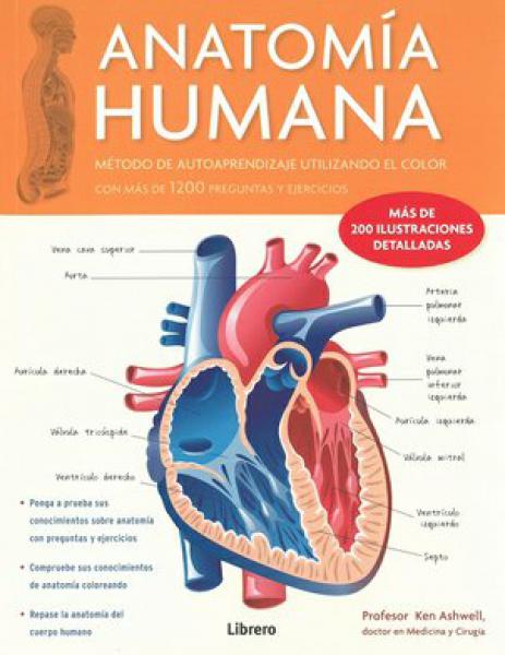 ANATOMIA HUMANA