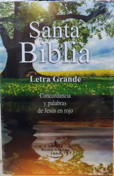 SANTA BIBLIA LETRA GRANDE