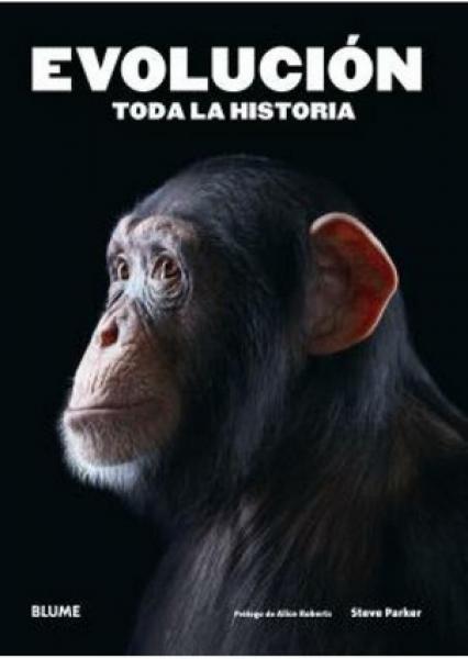 EVOLUCION - TODA LA HISTORIA