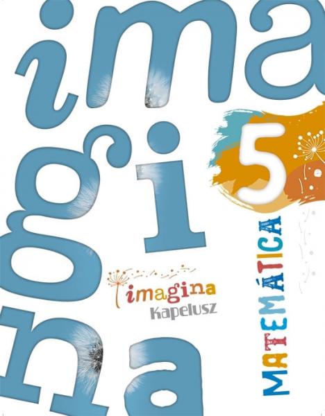 MATEMATICA 5 (IMAGINA)