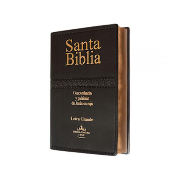 SANTA BIBLIA ( LETRA GRANDE )