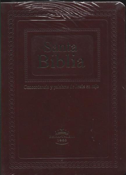 SANTA BIBLIA - LETRA GIGANTE C/UÑERO