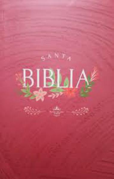 SANTA BIBLIA REINA-VALERA 1960 TAPA ...