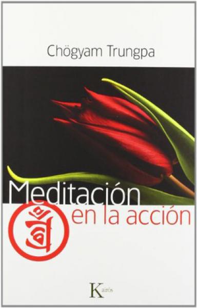 MEDITACION EN LA ACCION