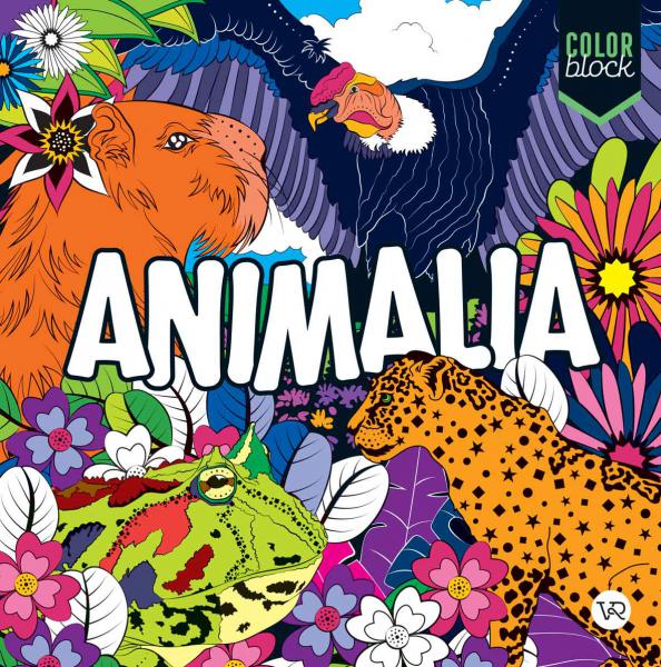 ANIMALIA - COLOR BLOCK