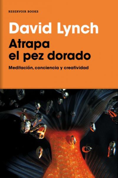 ATRAPA EL PEZ DORADO