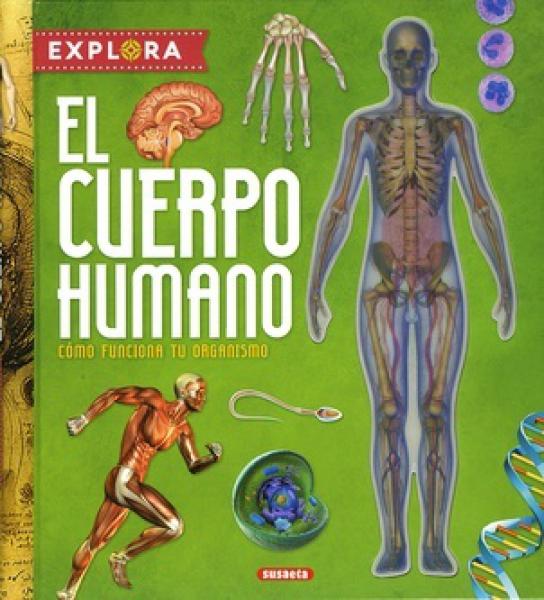EXPLORA - EL CUERPO HUMANO
