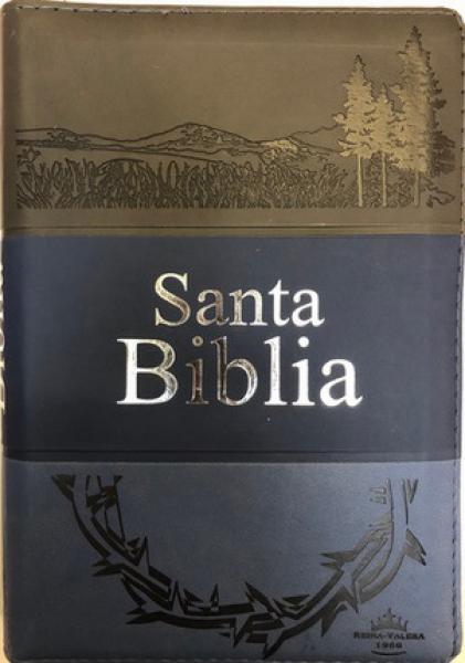 BIBLIA REINA VALERA 1960 C/CIERRE ...