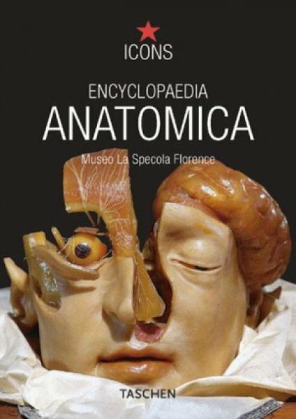 ENCICLOPEDIA ANATOMICA