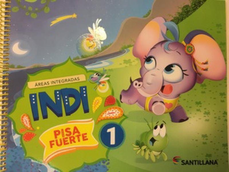 INDI PISA FUERTE 1 (AREAS INTEGRADAS)