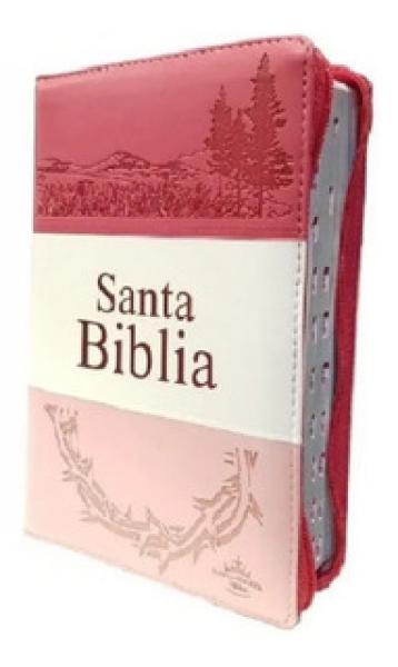 SANTA BIBLIA ROSA CUERINA TRITONO